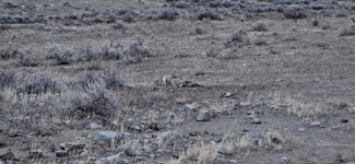 20260113_170911 copy.jpg