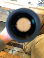 IMG_8535.jpeg