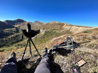 pack laying down.jpg