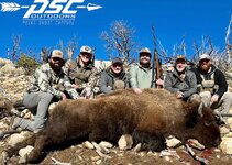 Untitled design.jpeg