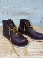 IMG_1396.jpeg