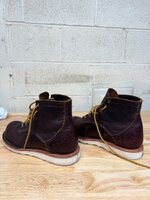 IMG_1397.jpeg