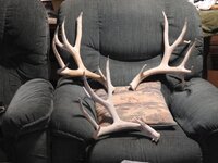 81 Nontypical Sheds.JPG