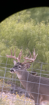AF897FB5-7E6F-47D3-B574-20582055EF17.png