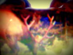 BC7406E7-3949-4D4F-8115-FB18ED9A02CE.jpeg