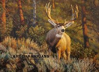 edge-of-forest-mule-deer-for-sale-mulie-bruce-miller-lg3271023.jpg