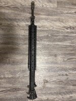 IMG_0236.jpeg IMG_0236.jpeg