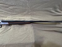 IMG_1029.jpeg IMG_1029.jpeg