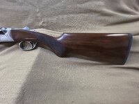 IMG_1031.jpeg IMG_1031.jpeg