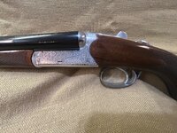 IMG_1032.jpeg IMG_1032.jpeg