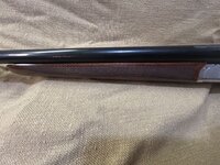 IMG_1033.jpeg IMG_1033.jpeg