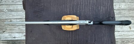 IMG_1924.jpeg IMG_1924.jpeg