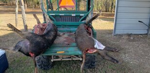 20260112_103709.jpg 20260112_103709.jpg