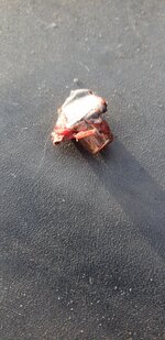 20260112_160557.jpg 20260112_160557.jpg