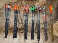 IMG_7824.jpeg IMG_7824.jpeg