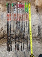 IMG_7833.jpeg IMG_7833.jpeg