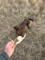 IMG_6315.jpeg IMG_6315.jpeg