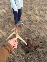 IMG_6166.jpeg IMG_6166.jpeg