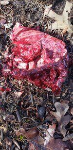 20251218_113710.jpg 20251218_113710.jpg