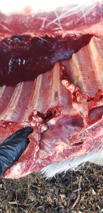 20251218_113729.jpg 20251218_113729.jpg