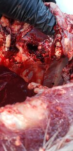 20251218_113746.jpg 20251218_113746.jpg