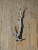 DSCN5240.JPG DSCN5240.JPG