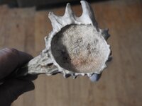 DSCN5241.JPG DSCN5241.JPG