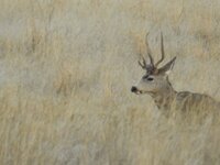 DSCN5232.JPG DSCN5232.JPG