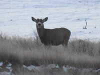 DSCN5243.JPG DSCN5243.JPG