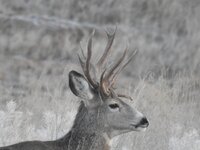 DSCN5433.JPG DSCN5433.JPG