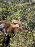 IMG_1598.jpeg IMG_1598.jpeg