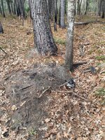 IMG_8130.jpeg IMG_8130.jpeg