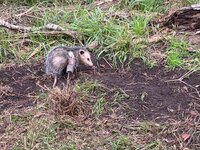 IMG_8128.jpeg IMG_8128.jpeg