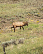 DSC05682.jpg DSC05682.jpg