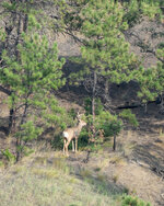 DSC05914.jpg DSC05914.jpg