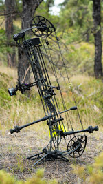 DSC05921.jpg DSC05921.jpg