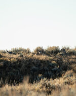 DSC06203.jpg DSC06203.jpg