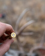 DSC06322.jpg DSC06322.jpg