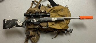 IMG_5715.jpeg IMG_5715.jpeg