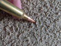 PXL_20260124_184358633.jpg PXL_20260124_184358633.jpg