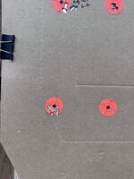 IMG_3236.jpeg IMG_3236.jpeg