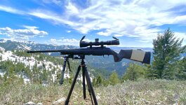 IMG_4546.jpeg IMG_4546.jpeg