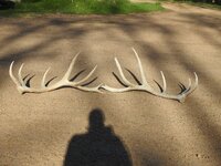 DSCN0119.JPG DSCN0119.JPG