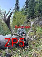 images (2)~2.jpeg images (2)~2.jpeg