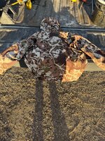 IMG_2768.jpeg