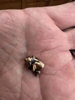 IMG_1664 (Small).JPG