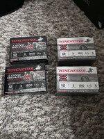 IMG_1194.jpg IMG_1194.jpg