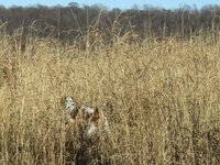 40525472_Unknown(1).jpg 40525472_Unknown(1).jpg