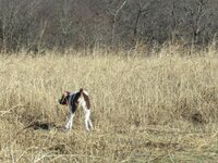 40525376_Unknown(1).jpg 40525376_Unknown(1).jpg