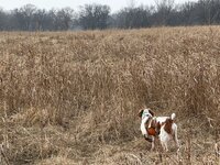 IMG_20260104_161246(1).jpg IMG_20260104_161246(1).jpg